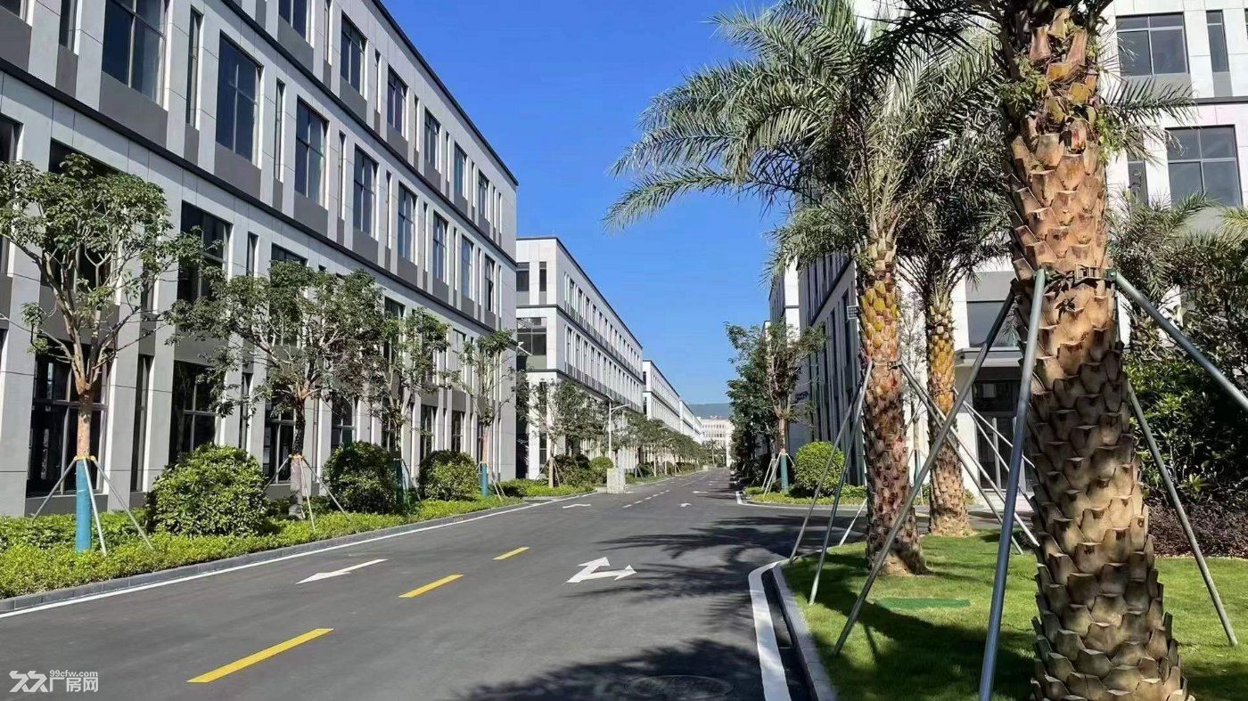 江北好厂房来了，全新50年产权 - 7
