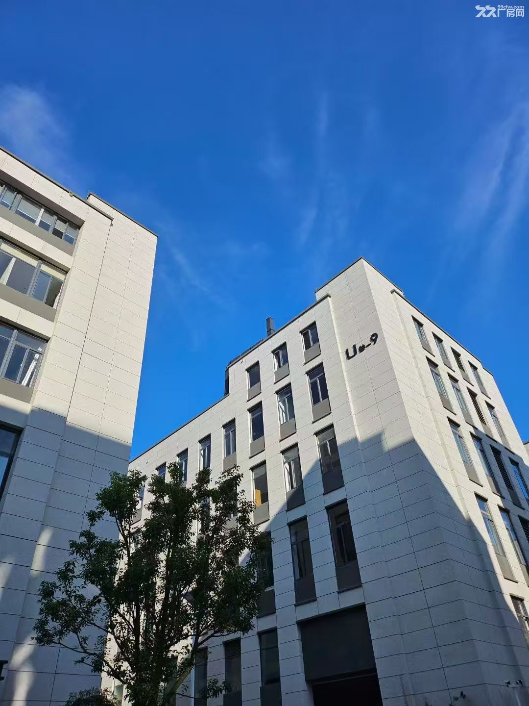 江北好厂房来了，全新50年产权 - 8