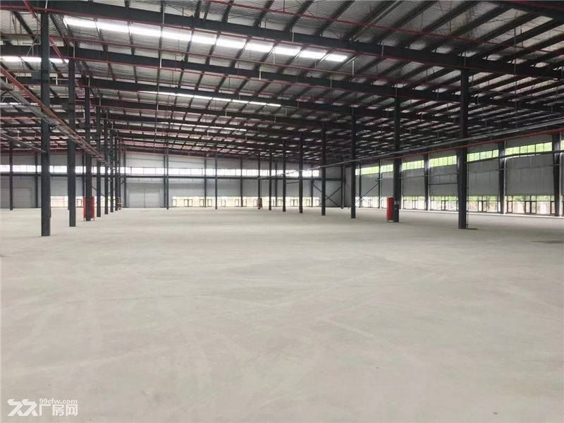 温州乐清工业区3千-17.5万平方米高标仓库出租适合各种快运物流冷链仓储 - 6