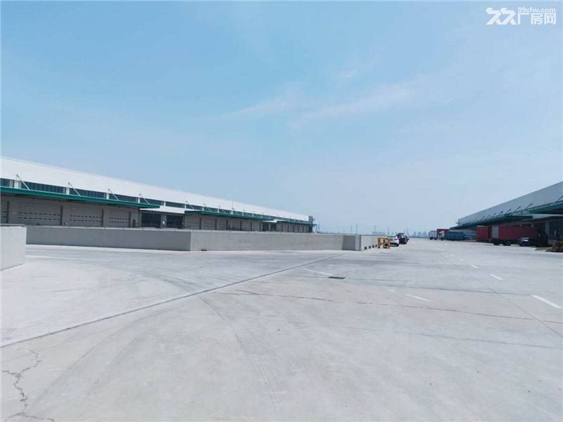 温州龙湾工业区50000平方米高标仓库出租适合物流仓储电商城市配送