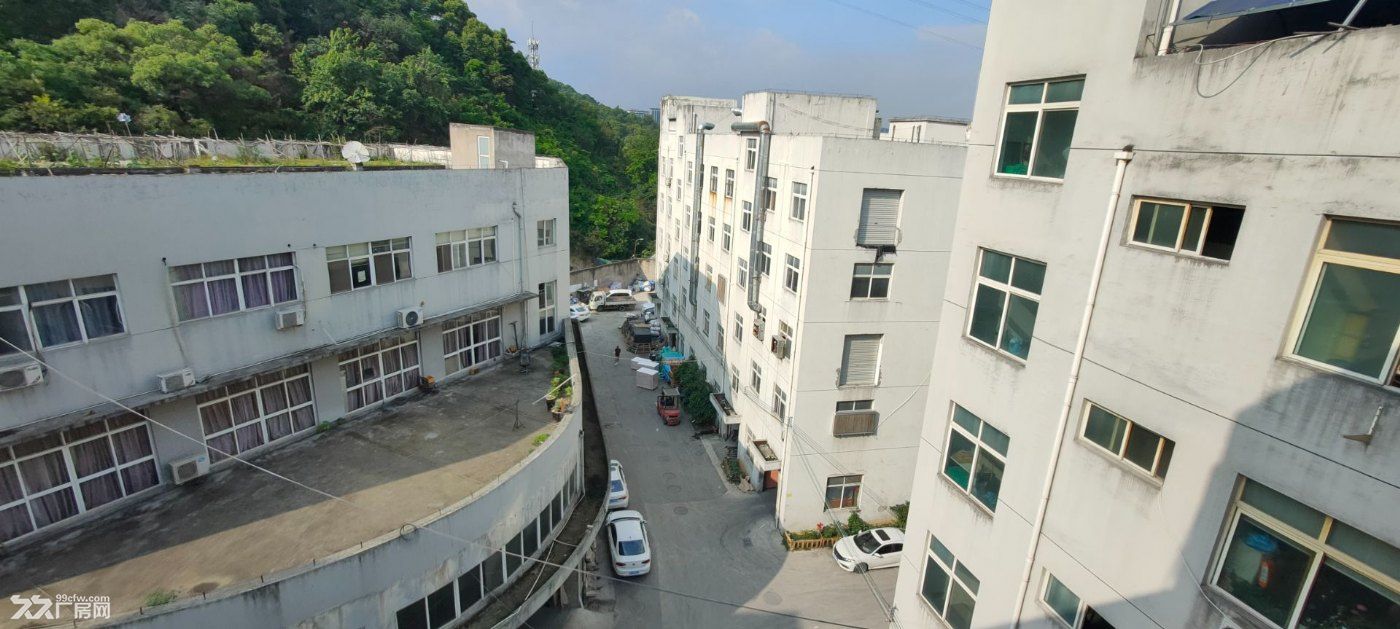 鞋都双藤公路藤桥大路边9500平米高标准厂房低价出租马上用行业不限 - 5