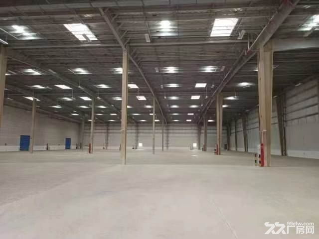 温州苍南工业区3000-46000平方米适合物流仓储电商 - 2