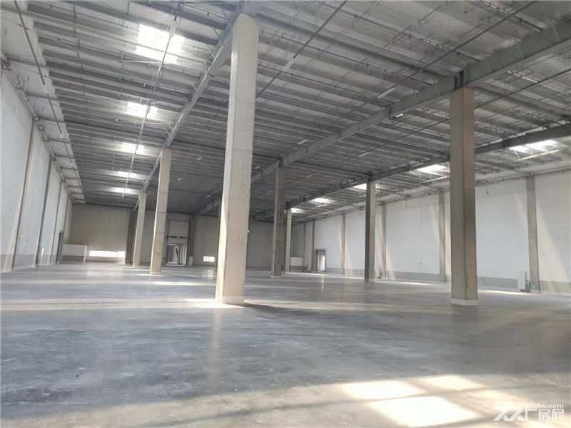 温州乐清工业区3千-17.5万平方米高标仓库出租适合各种快运物流冷链仓储 - 3