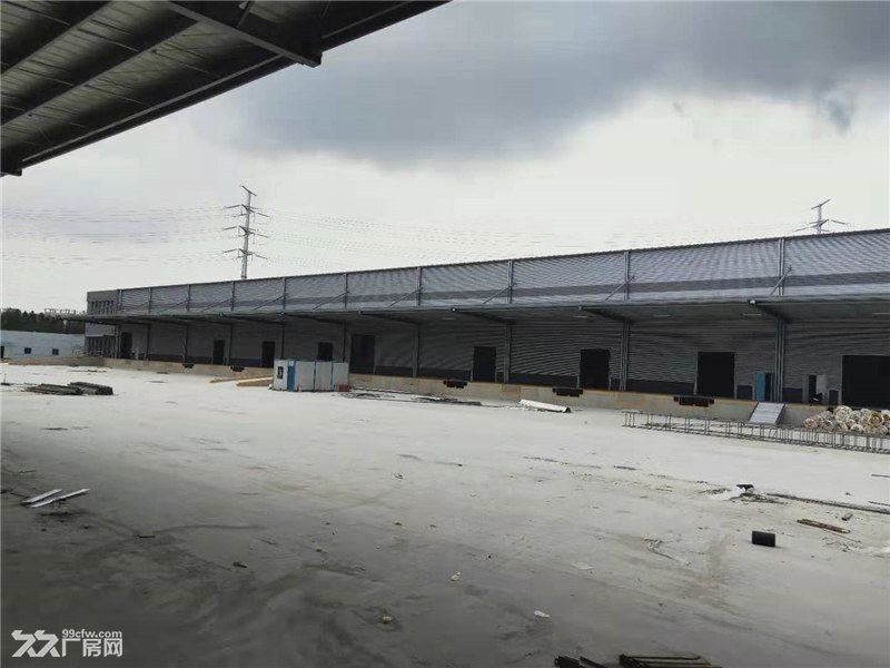 温州乐清工业区180000平方米高标仓库出租适合物流快运仓储冷链 - 5