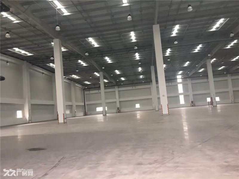 温州苍南工业区35000平方米高标仓库出租适合物流冷链仓储配送 - 6