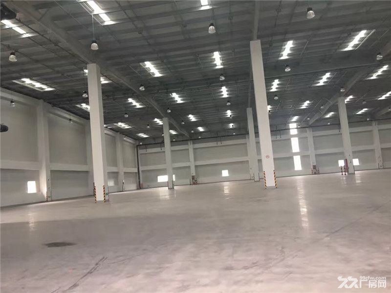温州永嘉工业区40000平方米高标仓库出租适合物流仓储快运电商 - 5