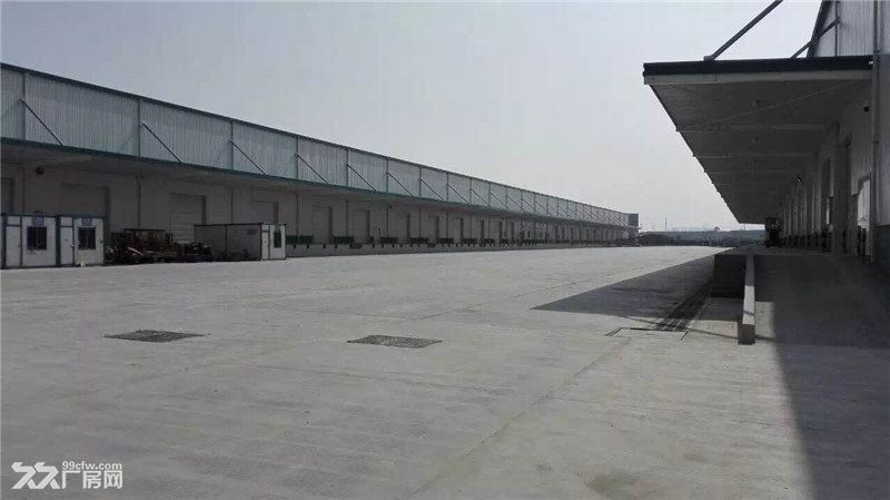 温州瑞安工业区110000平方米高标仓库出租适合物流仓储快运快递