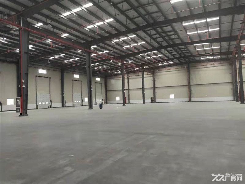 温州苍南工业区35000平方米高标仓库出租适合物流冷链仓储配送 - 5