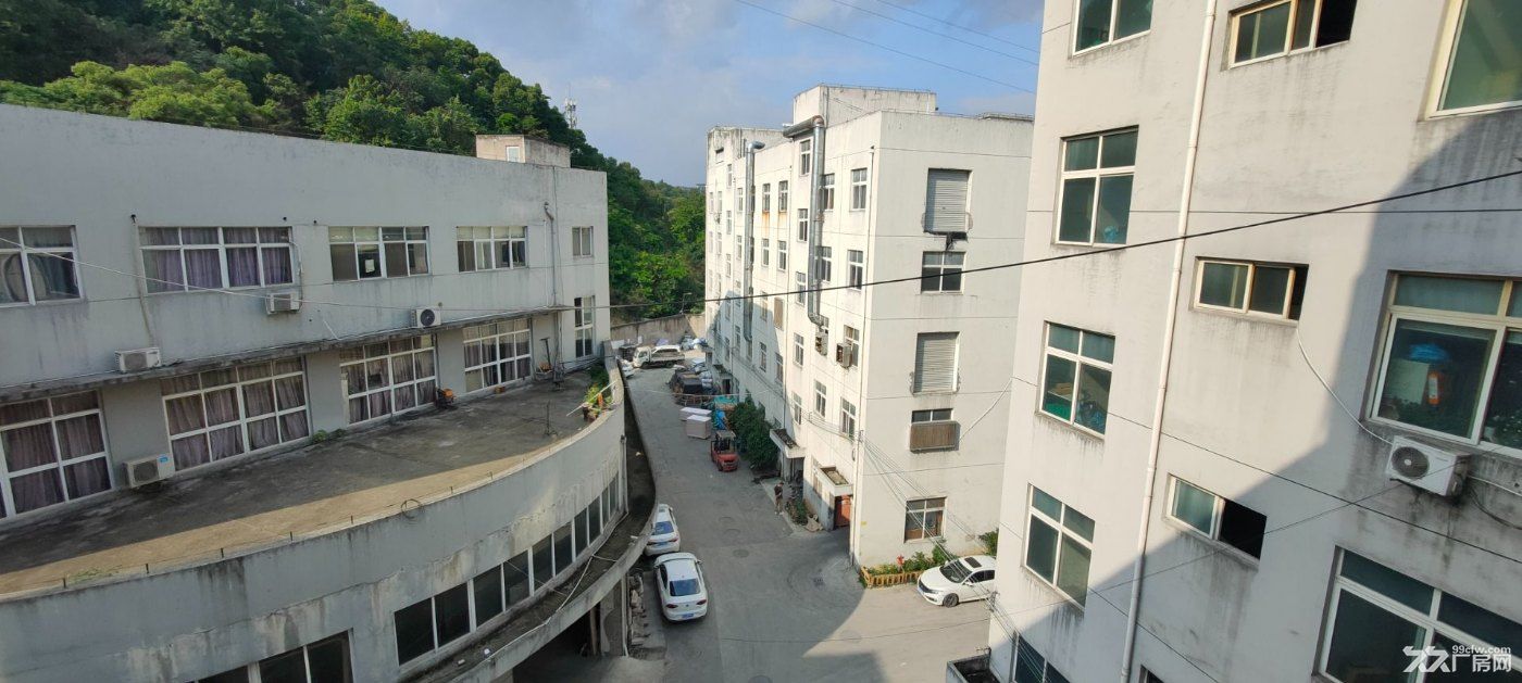 鞋都双藤公路藤桥大路边9500平米高标准厂房低价出租马上用行业不限 - 3