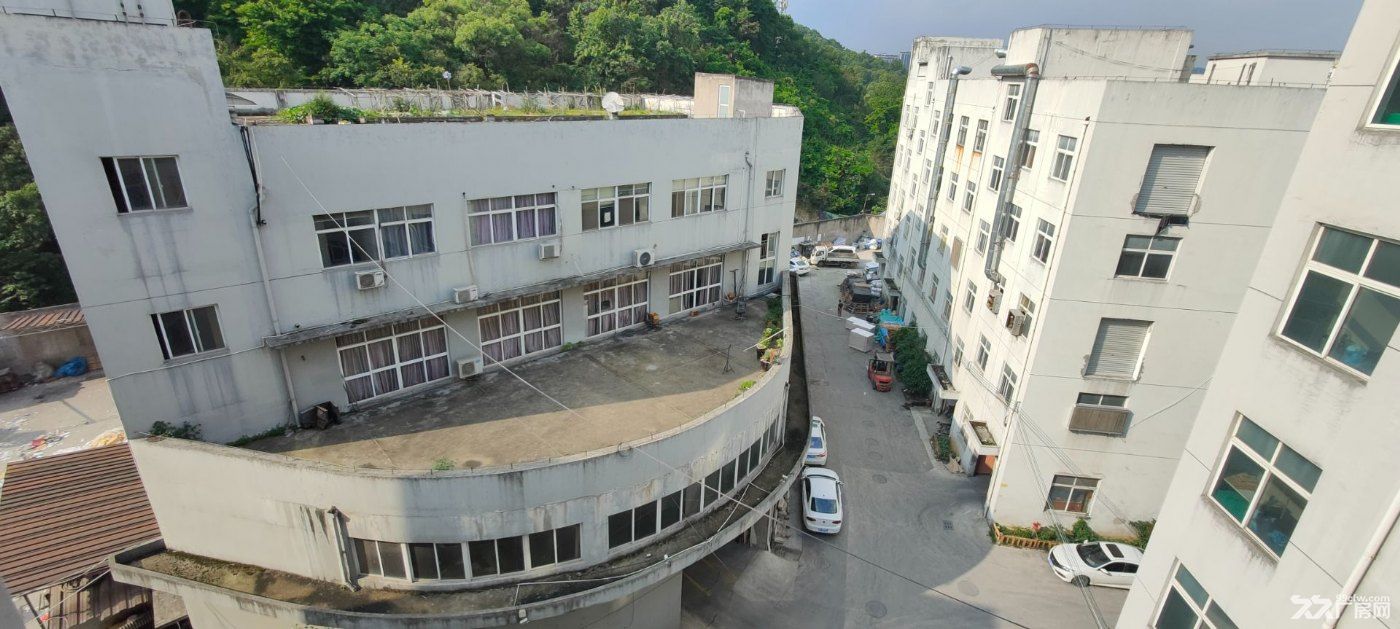 鞋都双藤公路藤桥大路边9500平米高标准厂房低价出租马上用行业不限 - 4