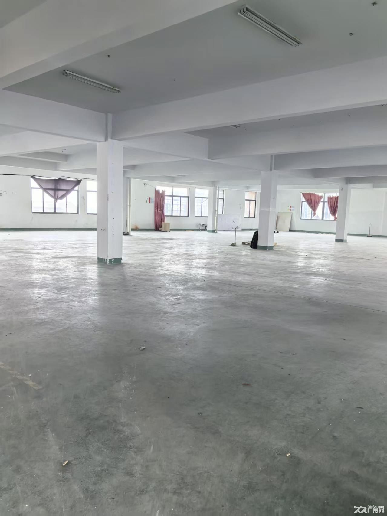 厂房出租面积1000-1500多层可选