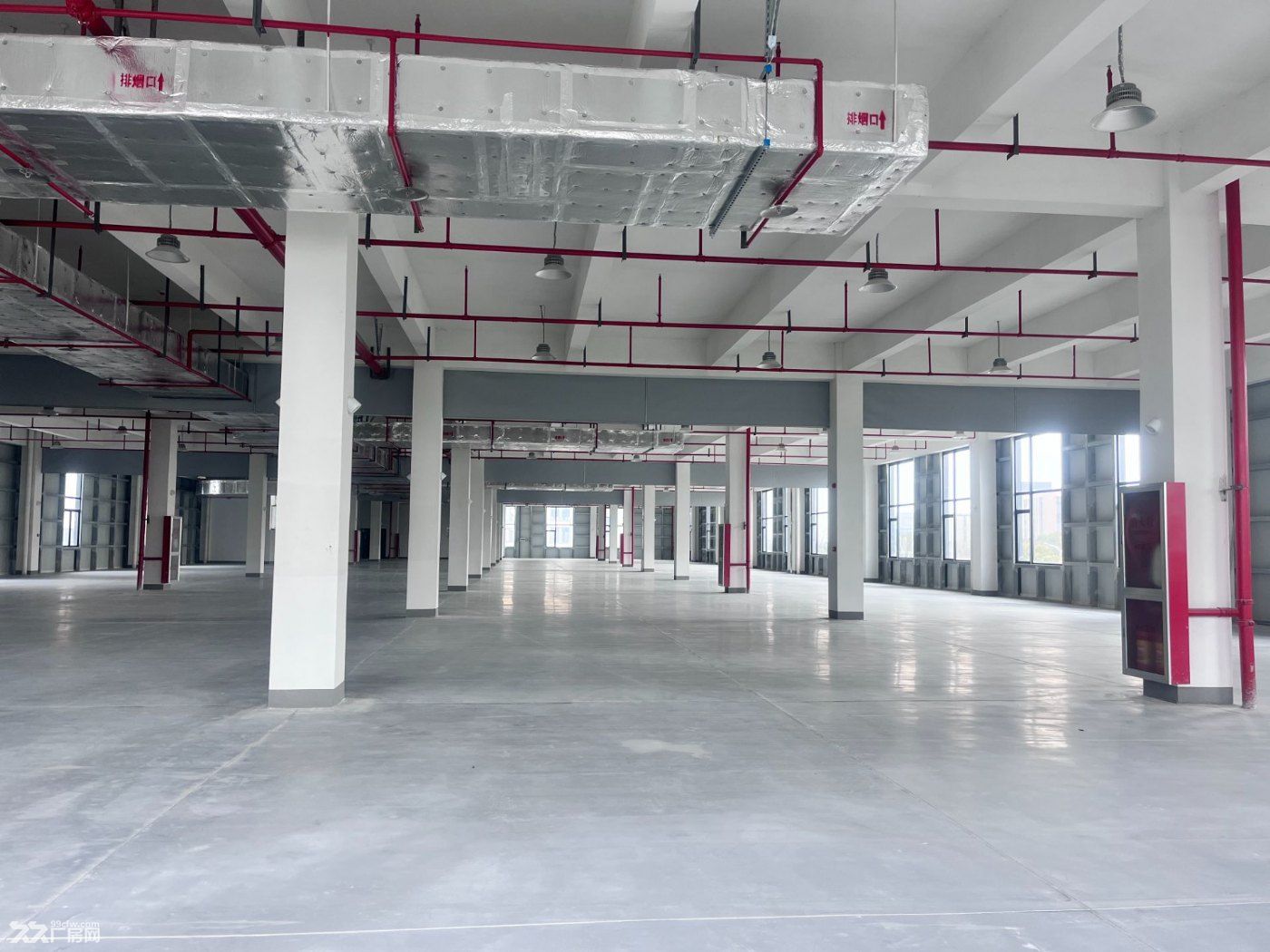 独门独院，嘉善姚庄20000平标准全新厂房，12块招租 - 6