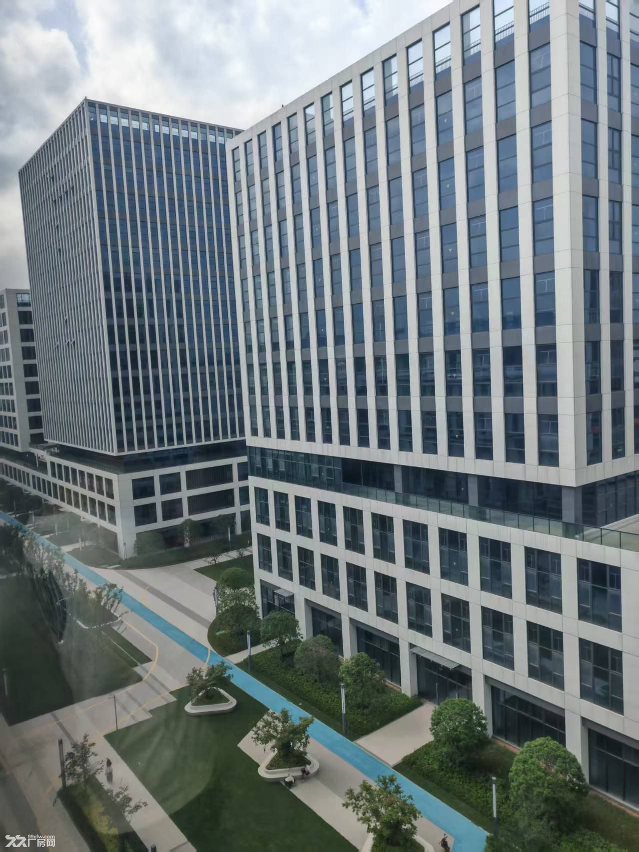 杭州项目政府政策大补贴，免租最长12个月！欢迎各地企业入驻