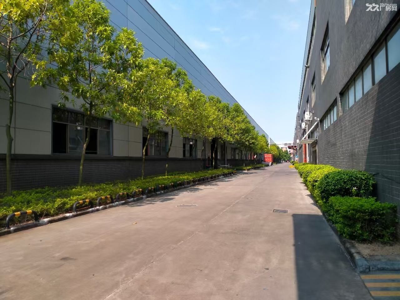 单层厂房11米出租38000平方 - 2