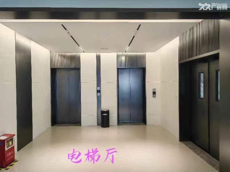 中山新出15600方带航车独立办公楼空地超大重工业单一层 - 7