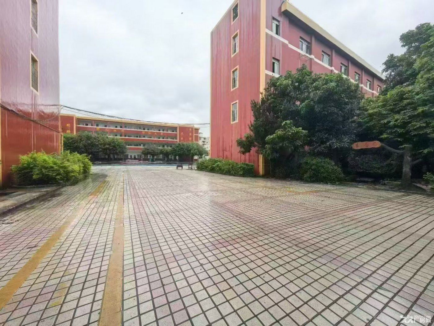 龙华独院13000平学校厂房出租 - 5