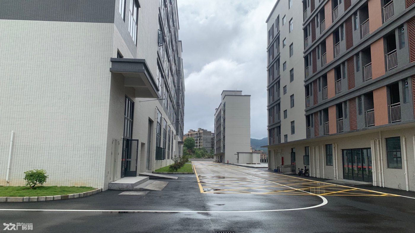 可租可售！惠州周边主干道旁原房东全新7.6万平高标红本重工业标准厂房 - 8