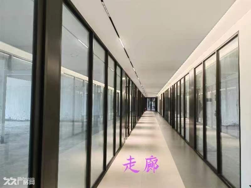 中山新出15600方带航车独立办公楼空地超大重工业单一层 - 8