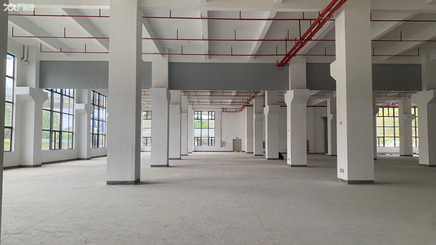 可租可售！惠州周边主干道旁原房东全新7.6万平高标红本重工业标准厂房 - 3
