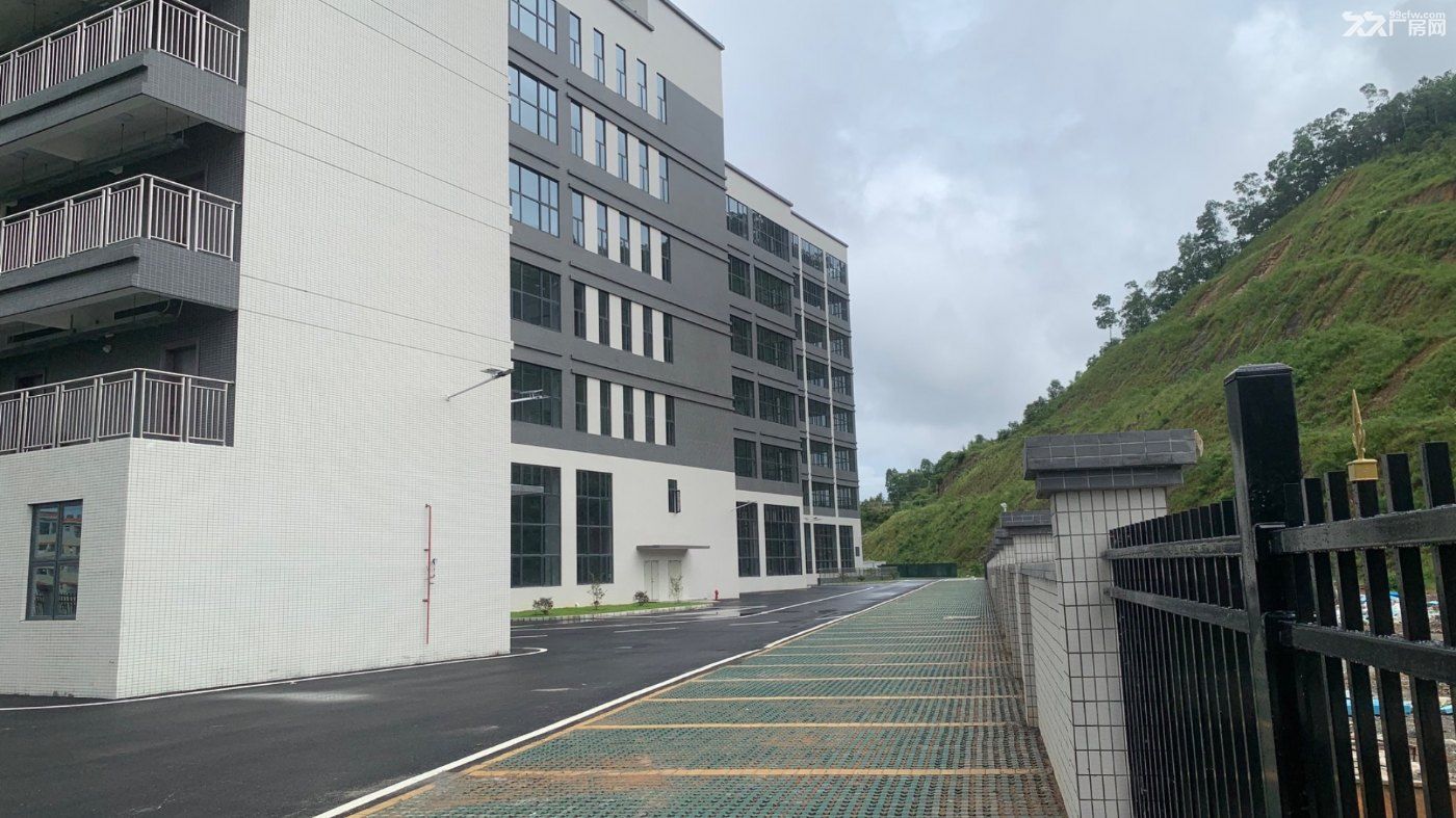 可租可售！惠州周边主干道旁原房东全新7.6万平高标红本重工业标准厂房 - 2