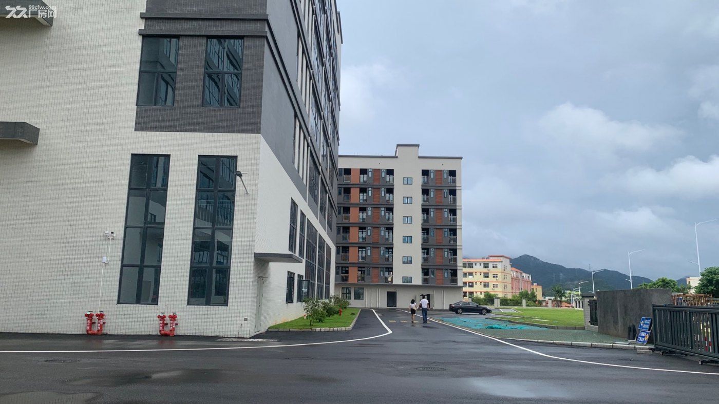 可租可售！惠州周边主干道旁原房东全新7.6万平高标红本重工业标准厂房 - 5
