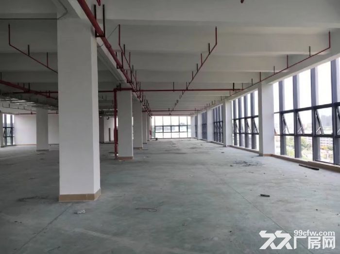 清溪河板桥独门独院厂房出租6900平 形像好 - 3
