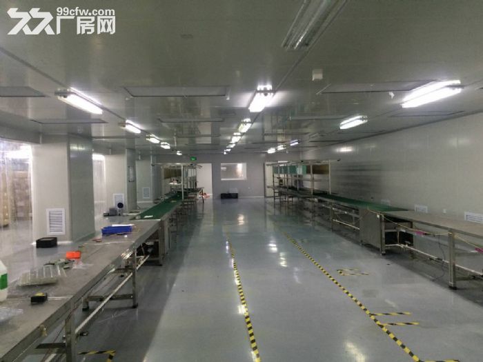 凤岗出租带装修厂房1100平方、有办公室 - 3