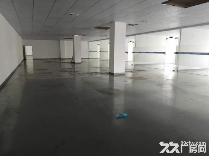 新出独院分租楼上1000平方厂房 - 2