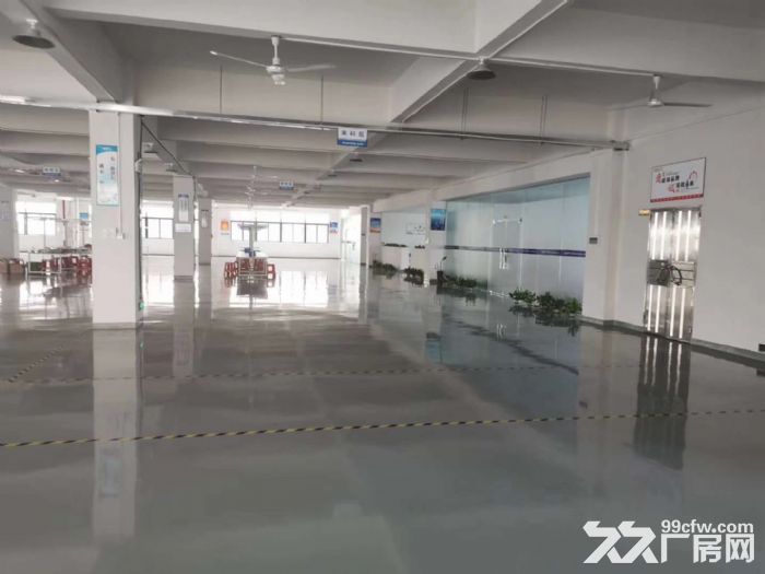 小榄政府补贴产业园楼上带豪华装修厂房出租 - 4
