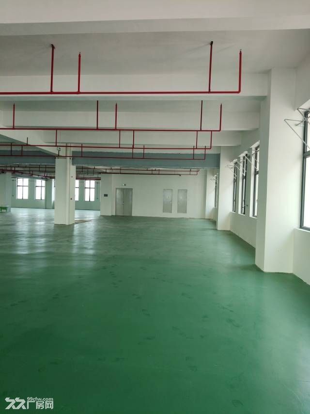中山南朗原房东新建高标厂房带精装修16380平方 - 3