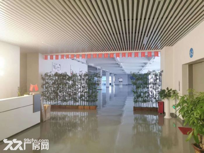 小榄政府补贴产业园楼上带豪华装修厂房出租