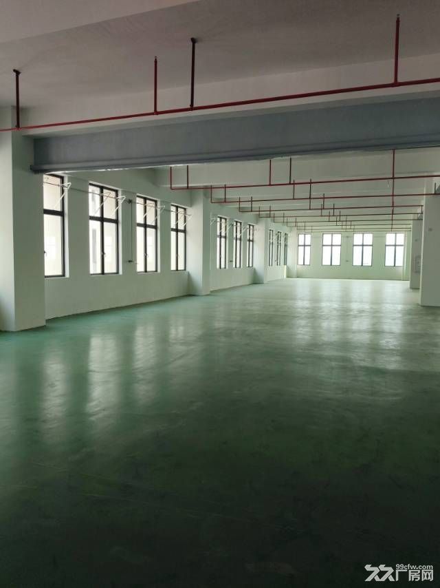 中山南朗原房东新建高标厂房带精装修16380平方 - 4