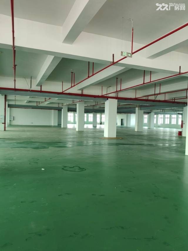 中山南朗原房东新建高标厂房带精装修16380平方 - 6