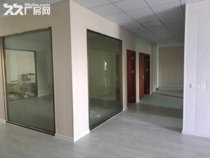 小榄带全新装修厂房出租可分租 - 4