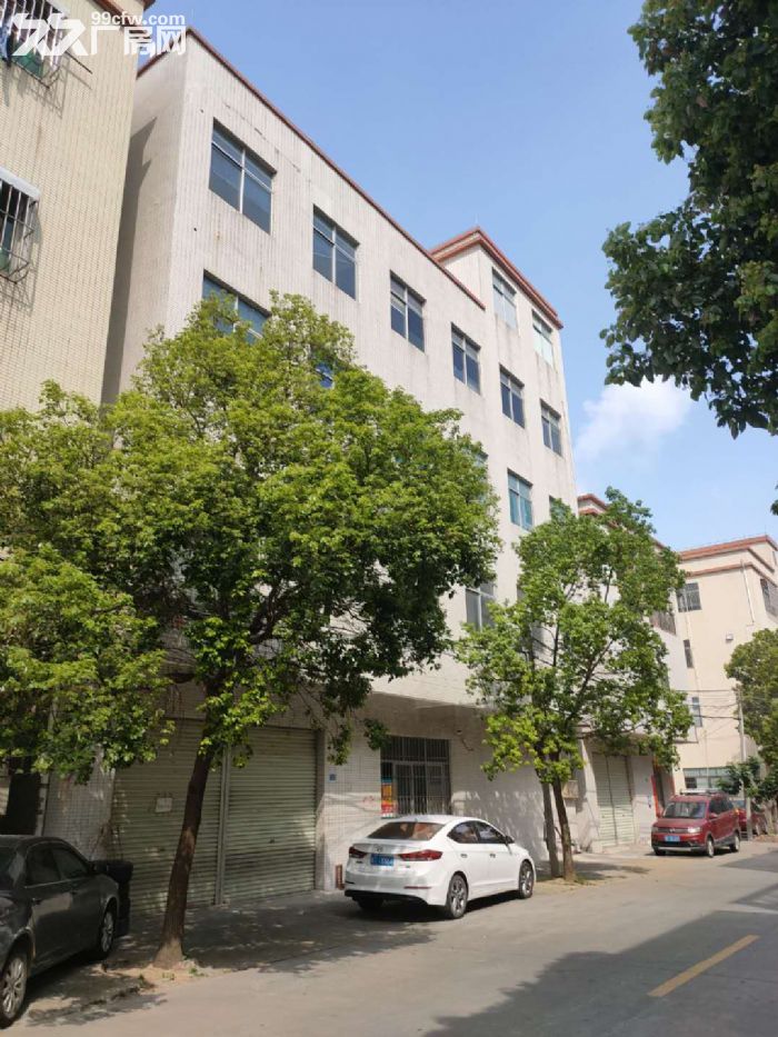 小榄泰丰独栋出租可以分租