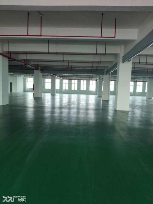 中山南朗原房东新建高标厂房带精装修16380平方 - 5