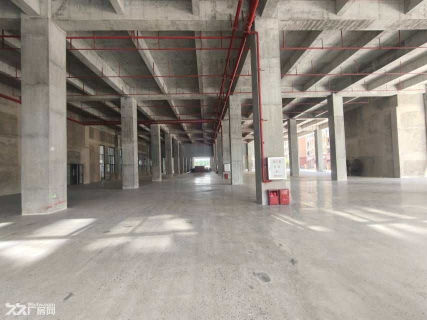 中山翠亨新区马鞍岛花园厂房出租 - 3