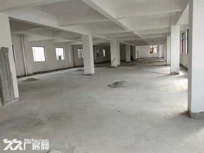 大吉祥全新厂房出租适合制衣 - 2