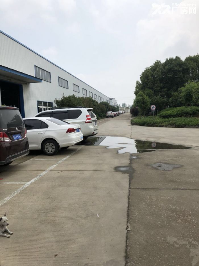 出售常福工业园独栋厂房