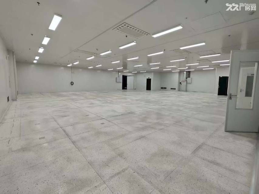 武汉蔡甸无尘洁净厂房6254㎡交通便利配套齐全 - 6