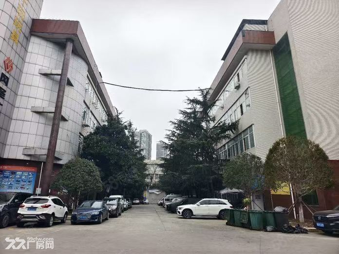 厂房直租（房东直租）一楼厂房仓库，特惠招租，可分组 - 2