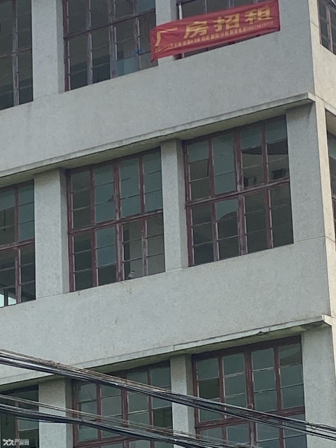祁家湾工业厂房出租面积 1358 平，服装加工，物流仓储 - 3