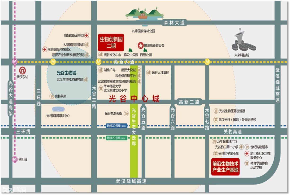 光谷生物城｜湖北科投国企开发｜稀缺定制独栋｜准现房产权可售可租