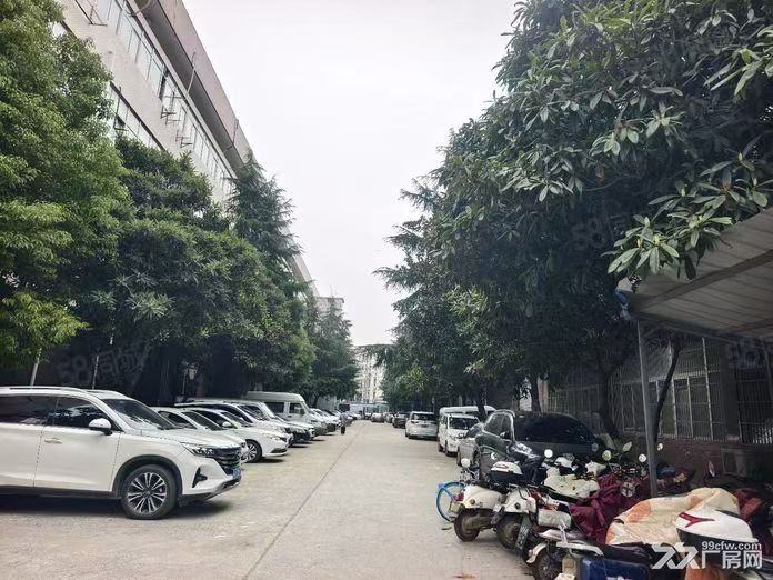 厂房直租（房东直租）一楼厂房仓库，特惠招租，可分组 - 4