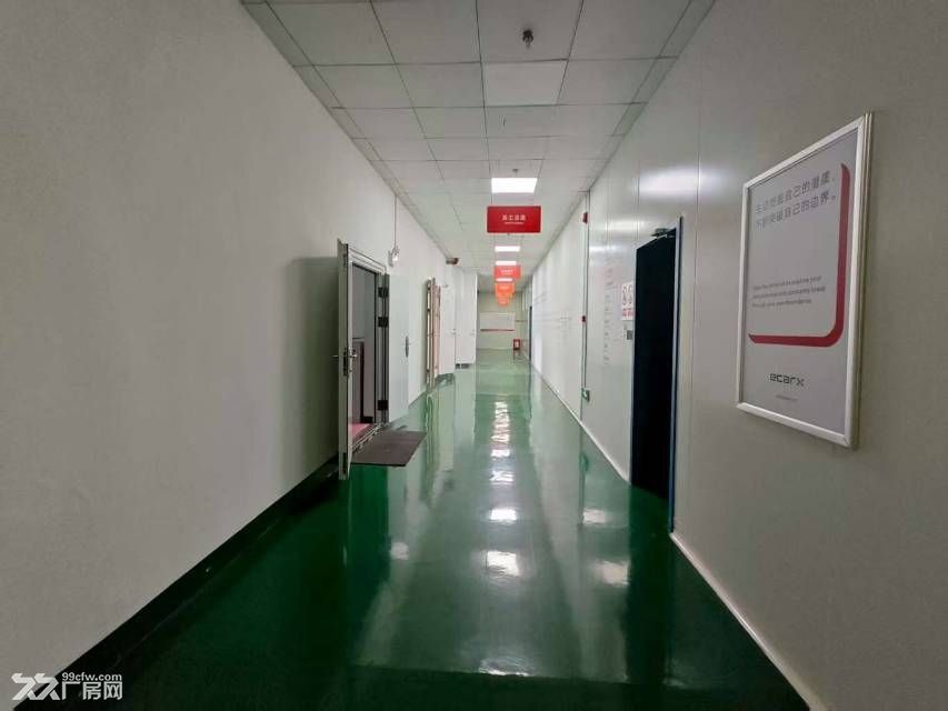 武汉蔡甸无尘洁净厂房6254㎡交通便利配套齐全 - 2
