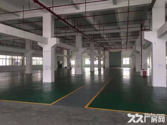 塘厦科苑城一楼厂房出租2600平 适合印刷 五金机械 注塑 - 2