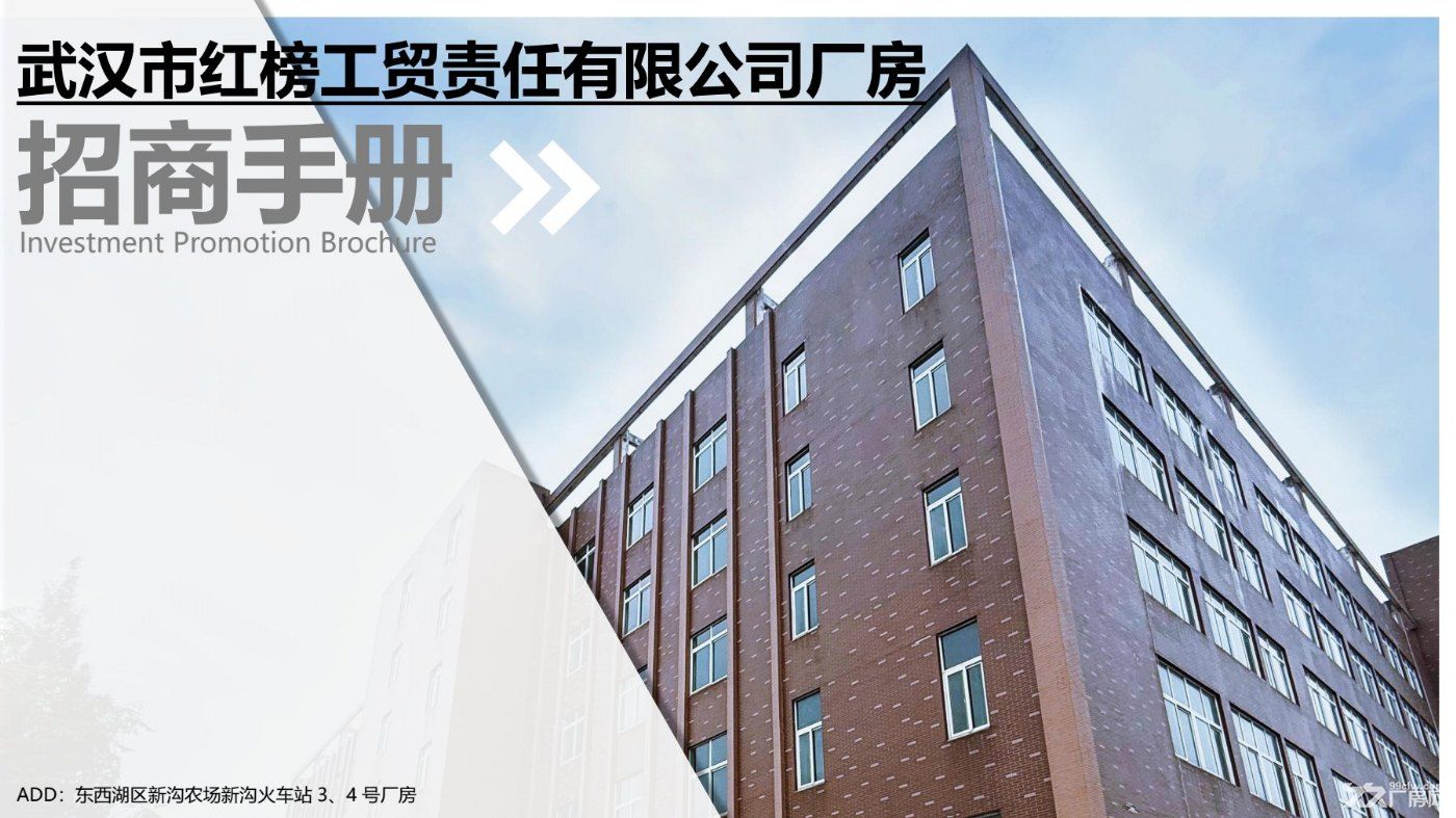个人厂房，东西湖高质量独门独栋厂房出租欢迎咨询 - 2