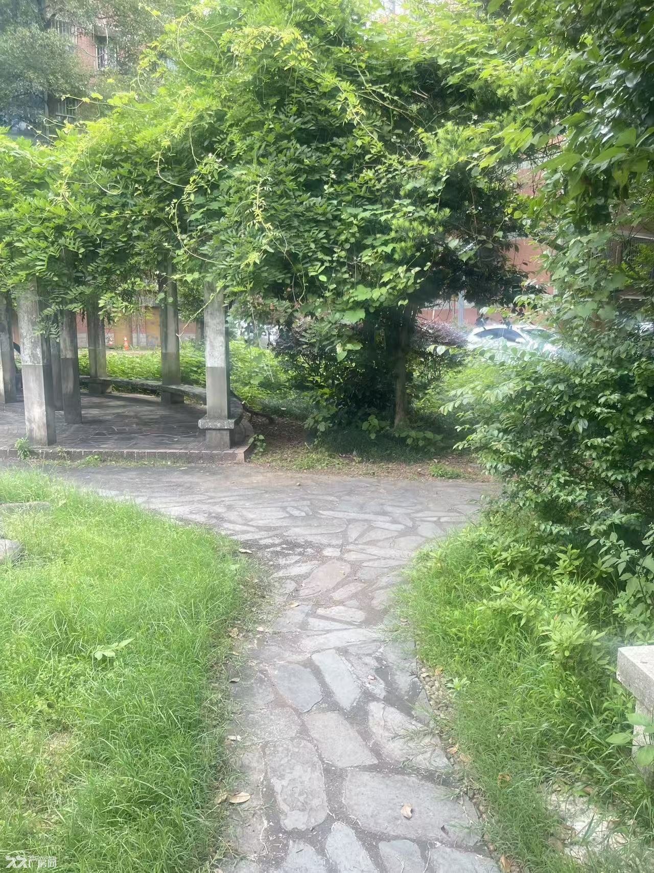 城市中心独栋六层整楼出租 - 4