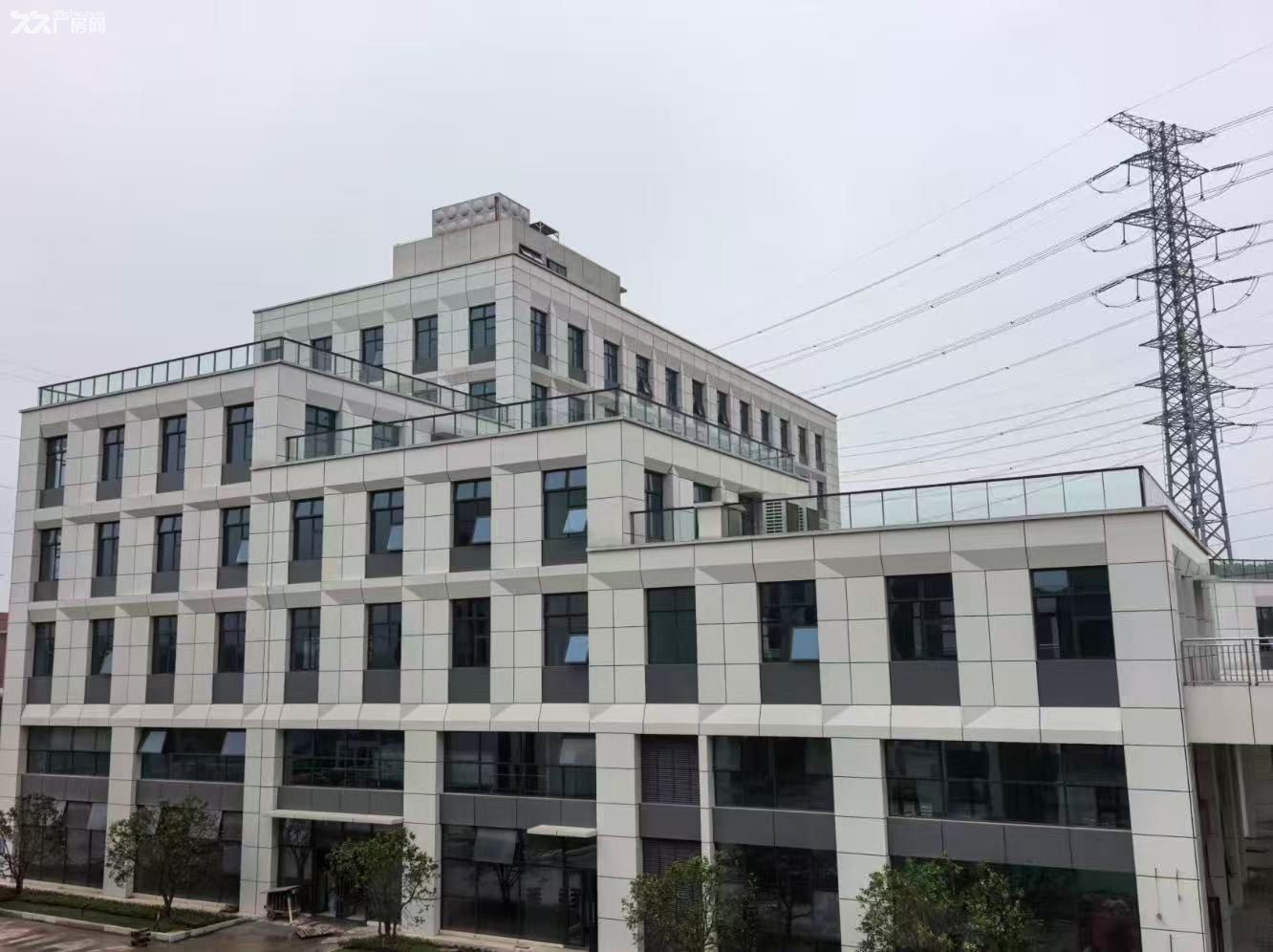 山河智能旁标准厂房出租 政府开发 层高9米 无中介费 - 5