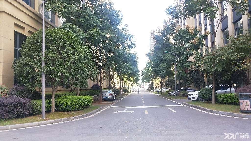 铭诚绿谷 科技新城 1楼500平方米